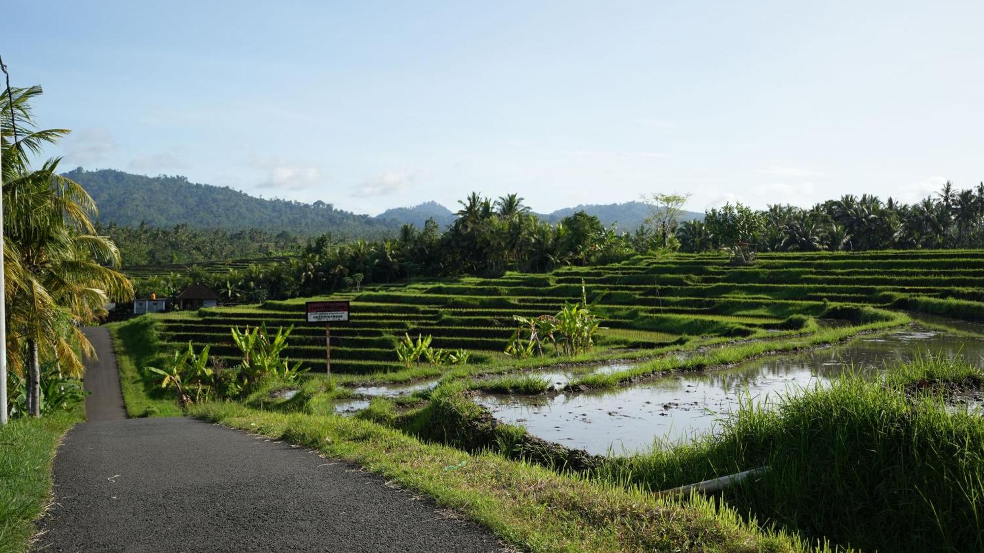 Kelapa Retreat & Spa Pulukan Eksteriør bilde